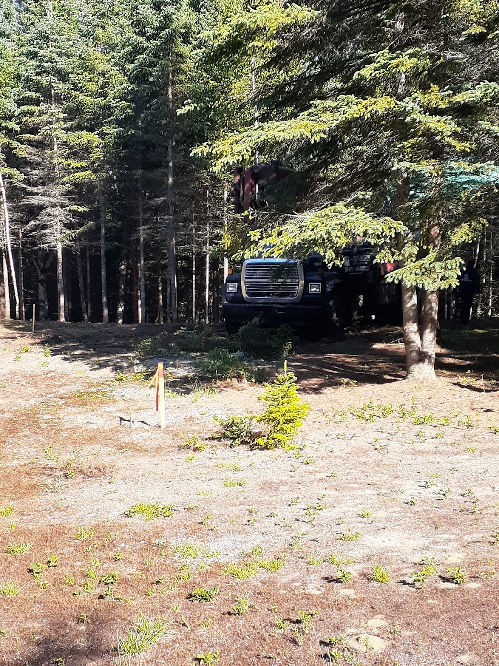 Aux puits artésiens St-Jovite inc. | 1330 Rue Dupras, Mont-Tremblant, QC J8E 3E7, Canada | Phone: (819) 425-1351