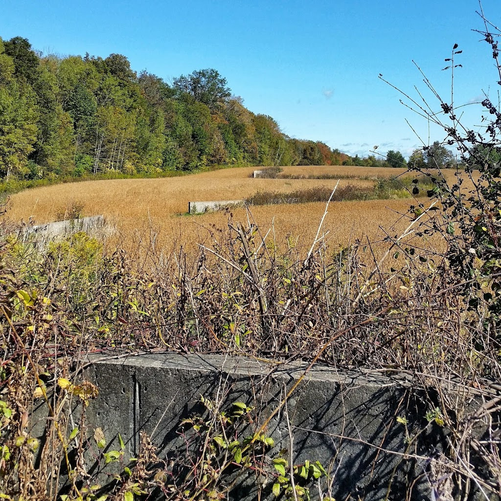 Shift by Richard Serra | King, ON L7B 1C6, Canada