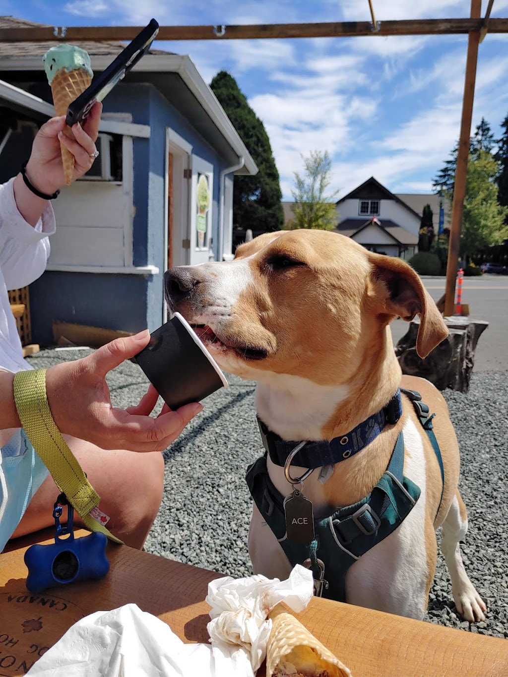 Maxs Ice Cream Co. | 641b Memorial Ave, Qualicum Beach, BC V9K 1L8, Canada | Phone: (778) 980-1290