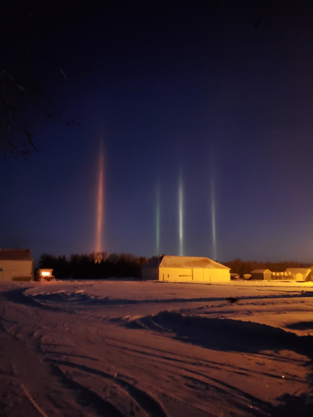 Copeland Seeds Ltd | Farm, Rosetown, SK S0L 2V0, Canada | Phone: (306) 378-2286