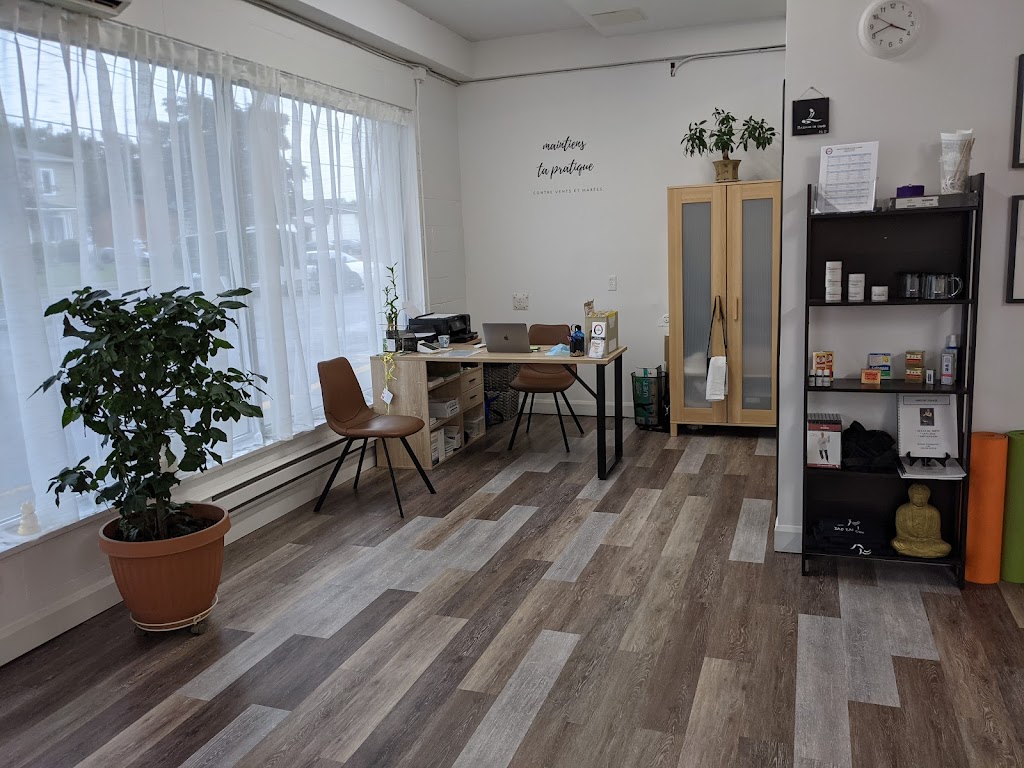 Center Qi Gong Du Québec | 1060 Rue de lUnion, Sainte-Catherine, QC J5C 1B3, Canada | Phone: (514) 794-4631