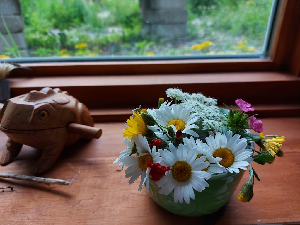 Catherine Angelica, Ac. - Acupuncture et sérénité | 2363 Rue Bastien, Val-David, QC J0T 2N0, Canada | Phone: (581) 777-6465