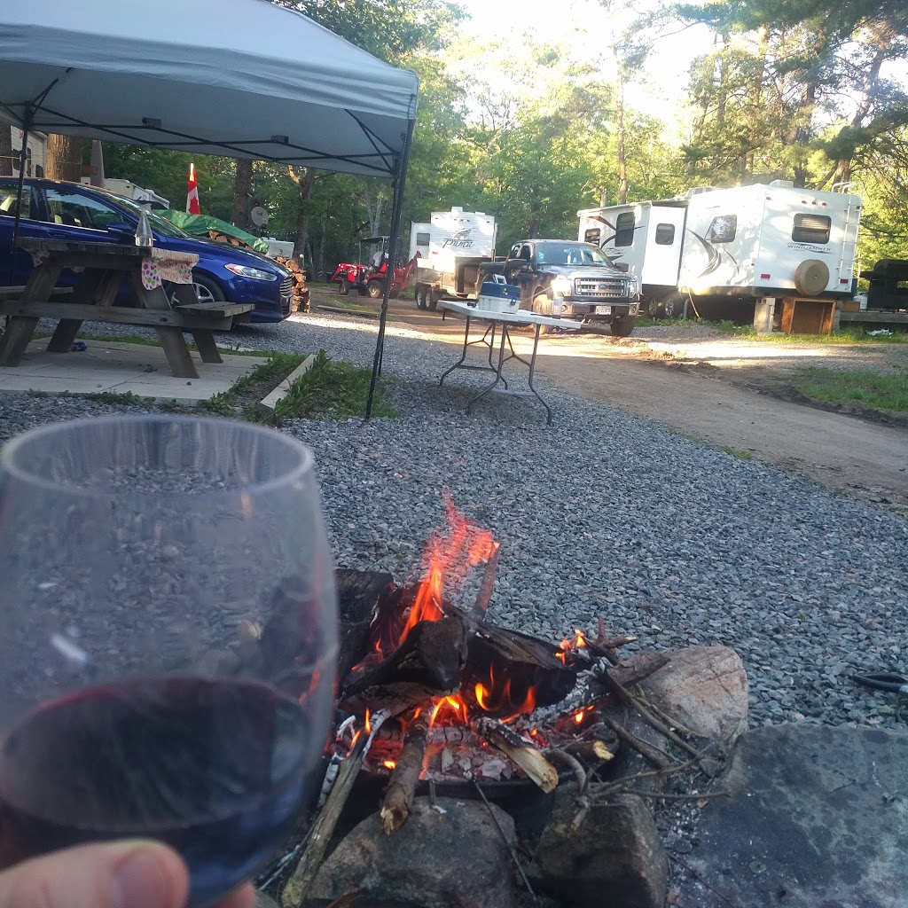 Buckslide Tent & Trailer Park | 1295 Buckslide Rd, Algonquin Highlands, ON K0M 1J1, Canada | Phone: (705) 489-2808