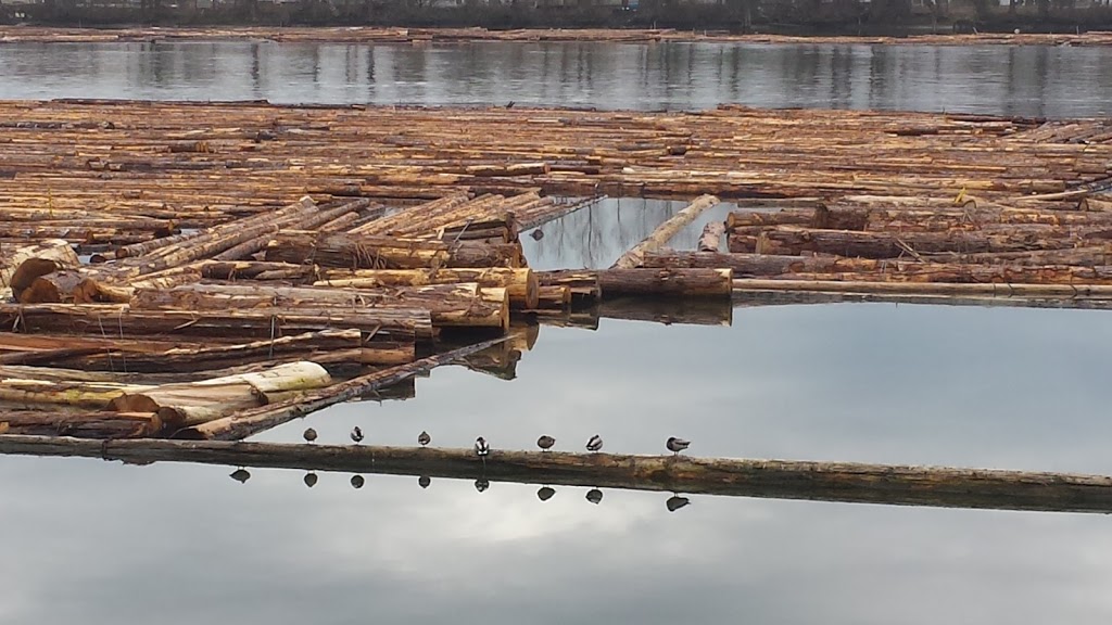Fraser River Trail - Burnaby Gateway | River District Crossing, Vancouver, BC V5J 5H4, Canada | Phone: (604) 873-7000