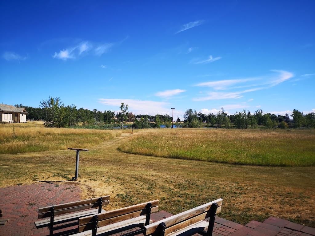 Alberta Birds of Prey Foundation | 2124 16 Ave, Coaldale, AB T1M 1J8, Canada | Phone: (403) 345-4262