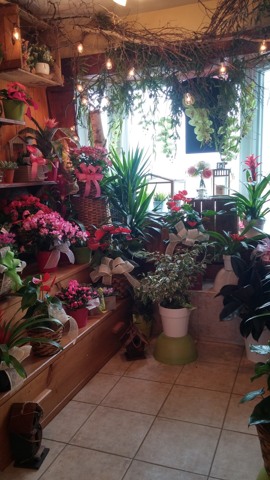 Fleuriste Ambiance Florale | 26 QC-281, Saint-Michel-de-Bellechasse, QC G0R 3S0, Canada | Phone: (418) 884-2050