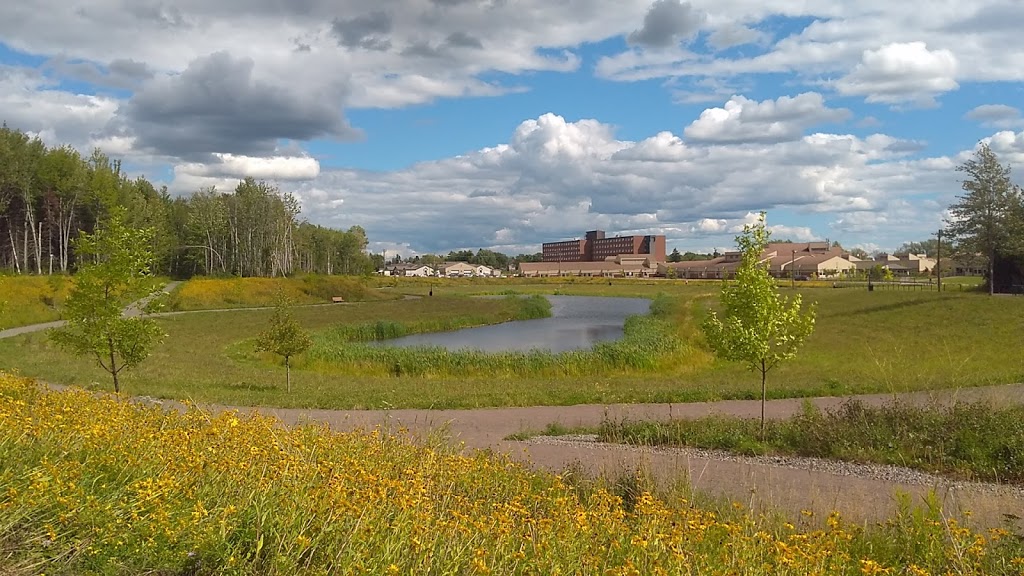 Parc Fairview Knoll Park | 111 Fairview Knoll Dr, Moncton, NB E1A 7V9, Canada | Phone: (506) 853-3516
