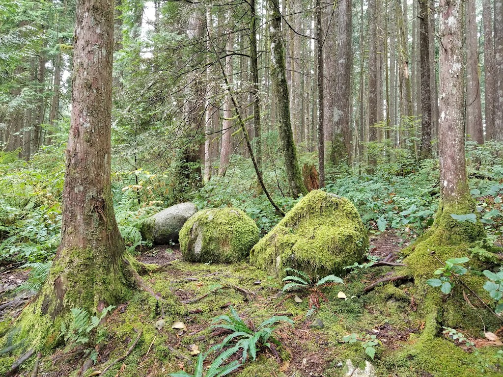 Rolley Lake Provincial Park | Bell St, Mission, BC V4S 1C6, Canada | Phone: (604) 466-8325