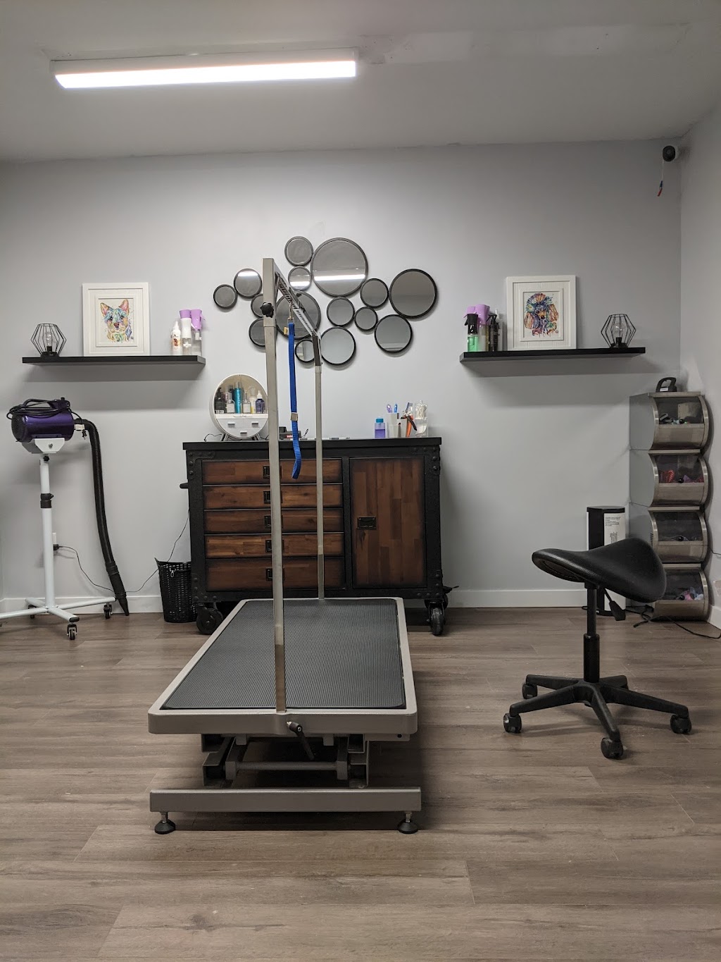 Shake Your Tail Feather Grooming | 1914 Carriere Rd, Grande Pointe, MB R5A 1H8, Canada | Phone: (204) 396-7444