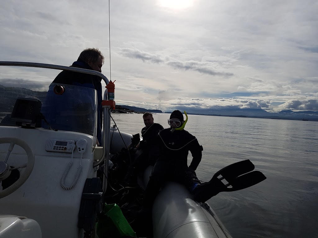 PJs Island and Sub Sea Retreat | 707 Downey Rd, North Saanich, BC V8L 5P8, Canada | Phone: (250) 208-4920