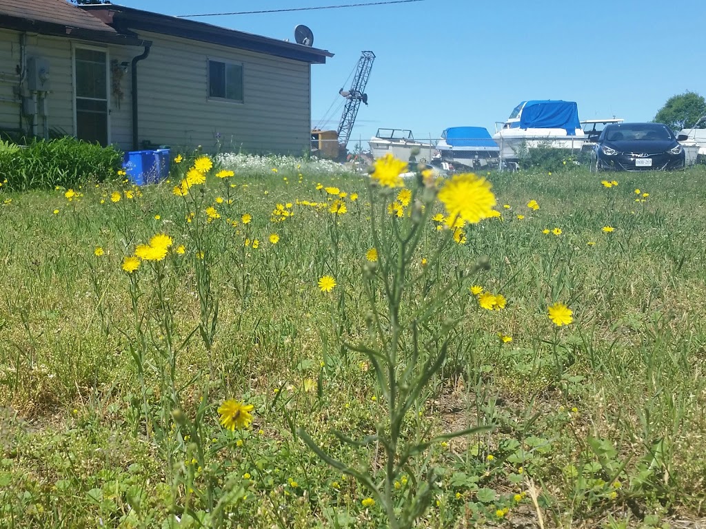 Aloha Wasaga | 391 River Rd E, Wasaga Beach, ON L9Z 2L7, Canada | Phone: (705) 429-3636