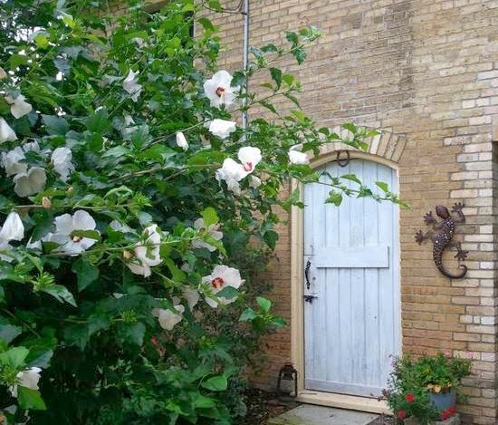 Victorian Pines Bed and Breakfast | 64 Main St, Glencoe, ON N0L 1M0, Canada | Phone: (519) 287-9909