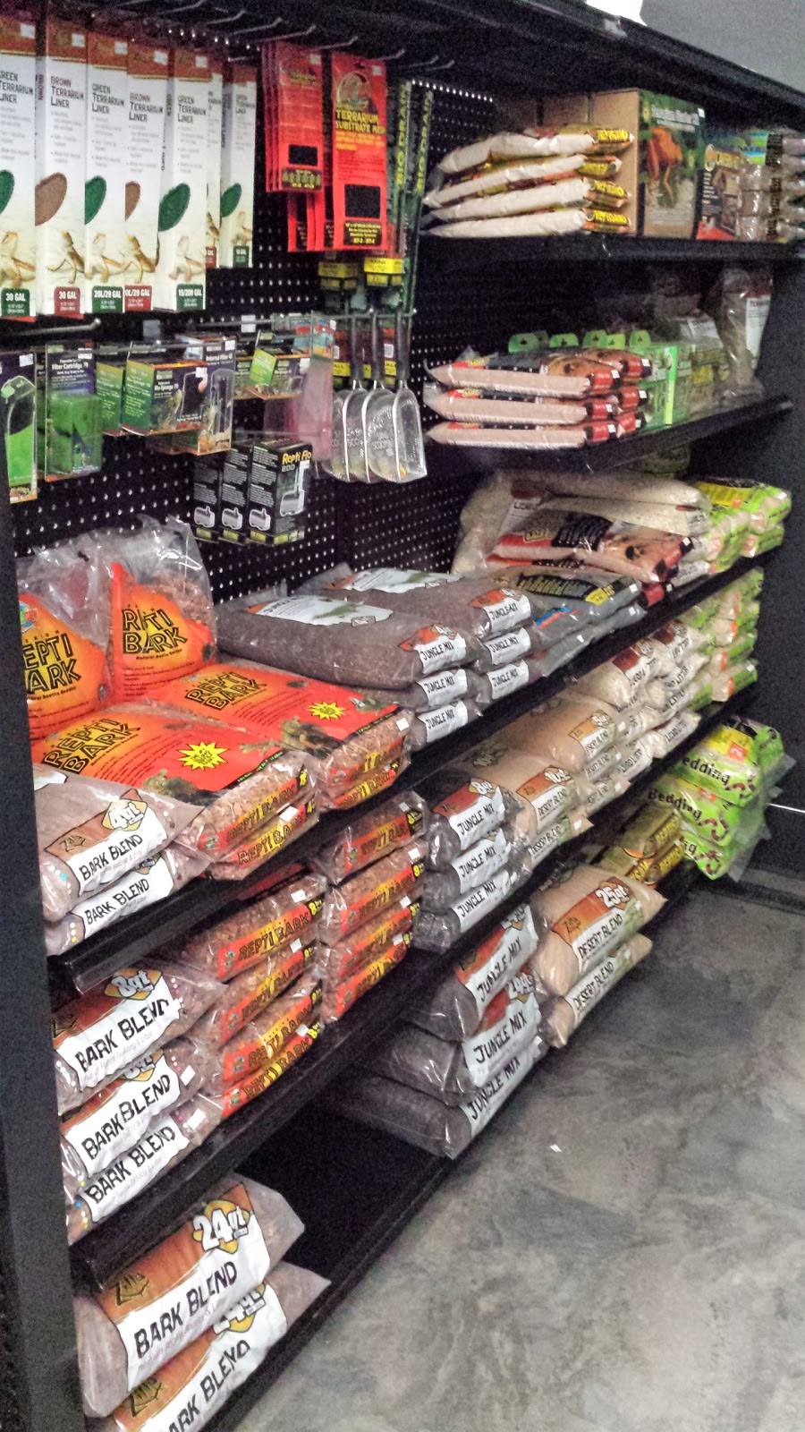 Oasis Fish & Reptile Ltd. | 8 Riel Dr #6, St. Albert, AB T8N 3Z7, Canada | Phone: (780) 458-0039