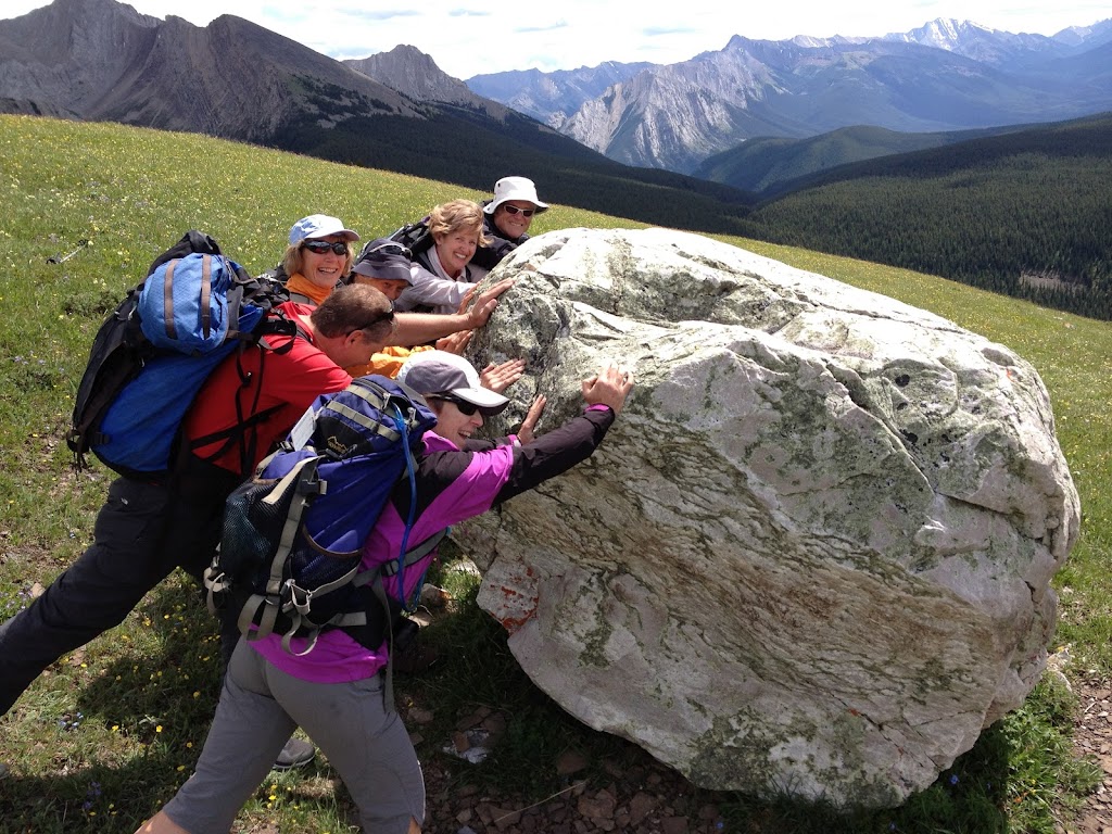 TRAFx Research Ltd | 20 MacDonald Pl, Canmore, AB T1W 2N1, Canada | Phone: (403) 678-1802