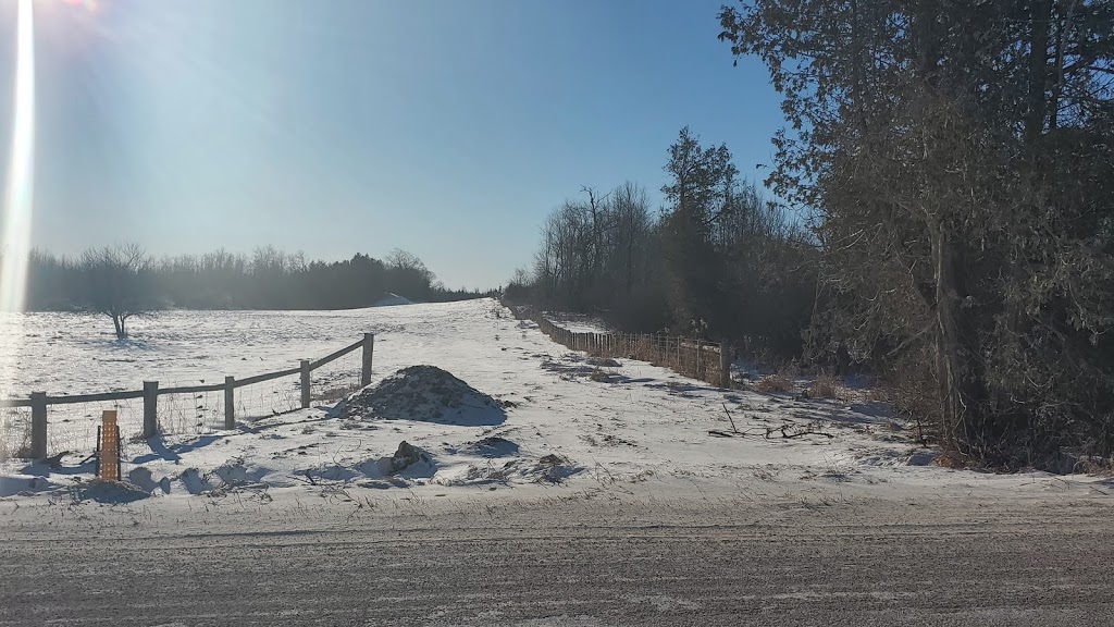 Bauman Metals Inc | 328316, Concession Rd 3, Maxwell, ON N0C 1J0, Canada | Phone: (519) 923-3978