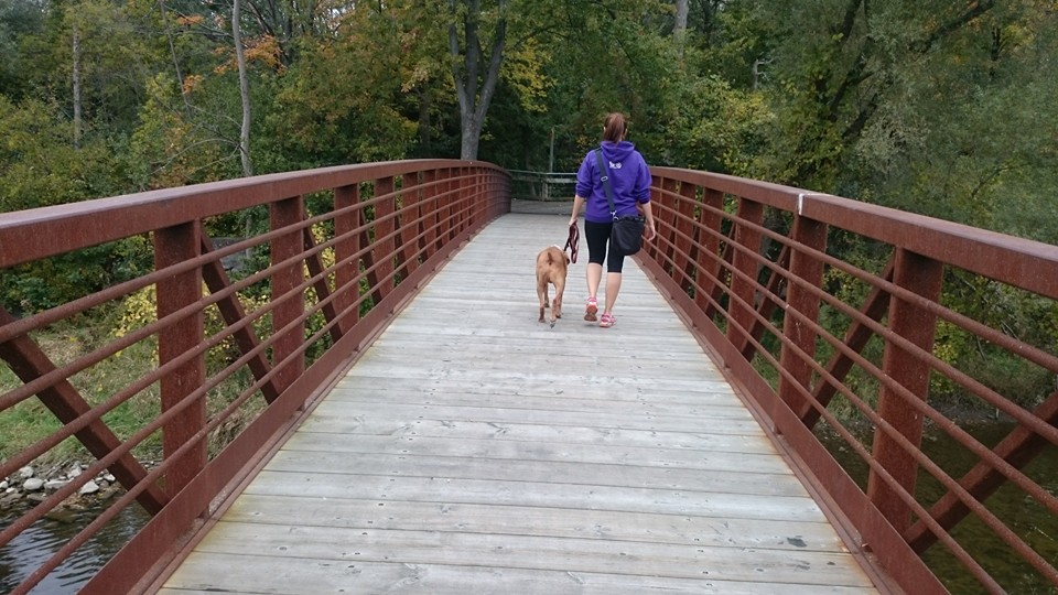 Paws Away | 97 Fairgreen Close, Cambridge, ON N1T 1T7, Canada | Phone: (519) 880-5225