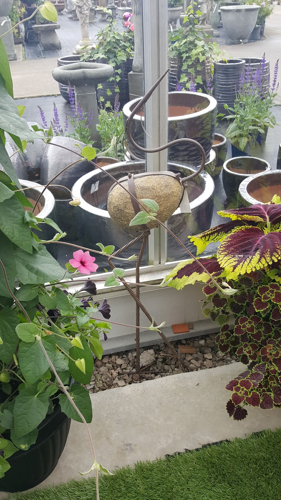 The Bloomin Gardener | 6673 Concession 8, Oldcastle, ON N0R 1L0, Canada | Phone: (519) 737-6548