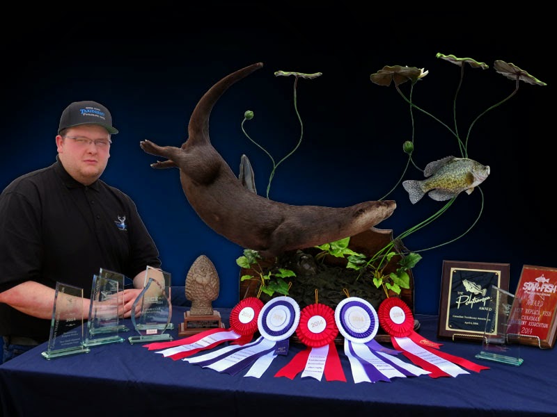 Chris Rawn Taxidermy & Wildlife Arts | 3319 Flos Rd 3 W, Stayner, ON L0M 1S0, Canada | Phone: (705) 719-8732