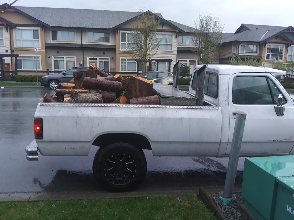 Blake Forrest Tree Care Inc | 23928 Kanaka Way, Maple Ridge, BC V2W 0H7, Canada | Phone: (236) 979-6879