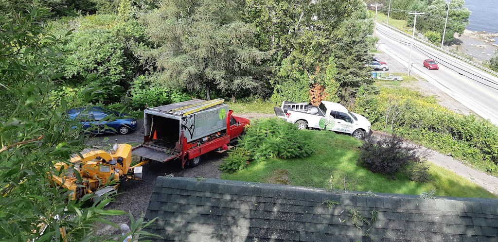 Arboriculture du fjord | 561 Delisle, Chicoutimi, QC G7G 3B7, Canada | Phone: (581) 234-4190