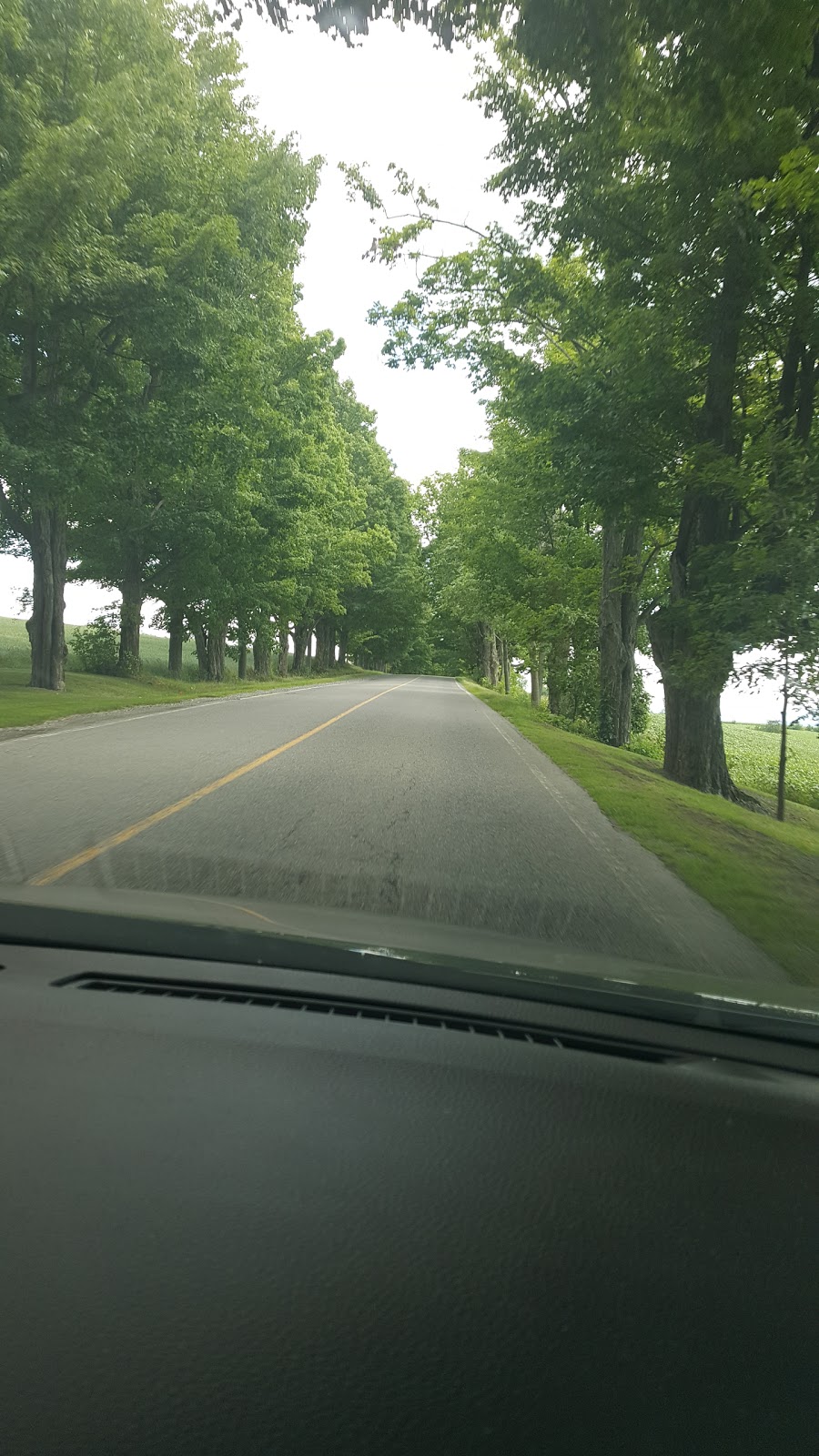 Ferme Sanders | 475 Chem. de Hyatts Mills, Compton, QC J0B 1L0, Canada | Phone: (819) 849-2270