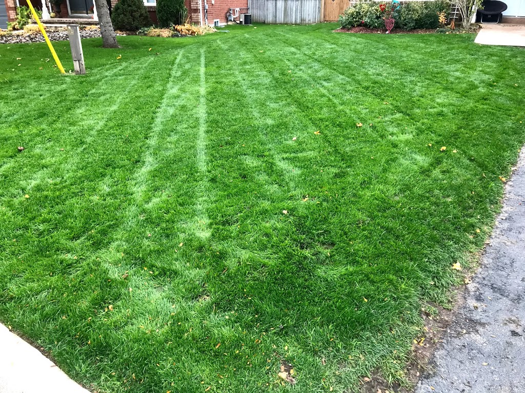 Strongscape Property Maintenance | Bay St, Kawartha Lakes, ON K9V 3J1, Canada | Phone: (705) 341-4473