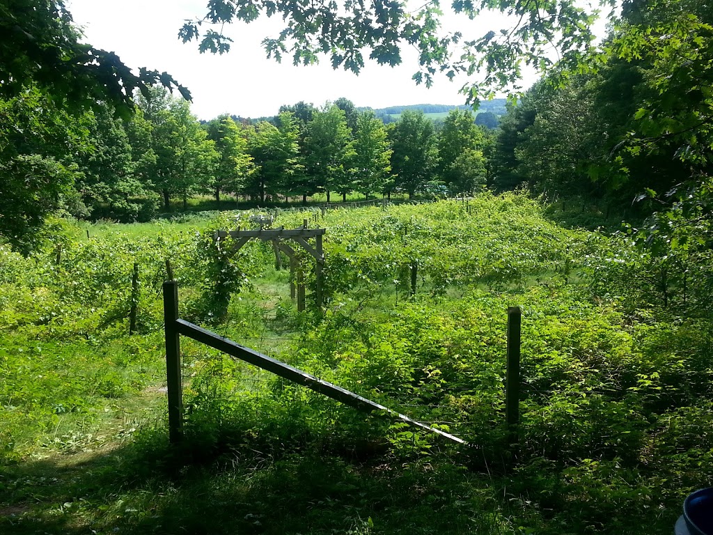 Parc du Boisé-des-Frères-du-Sacré-Coeur | Rue Poisson, Victoriaville, QC G6P 6P2, Canada | Phone: (819) 758-1571