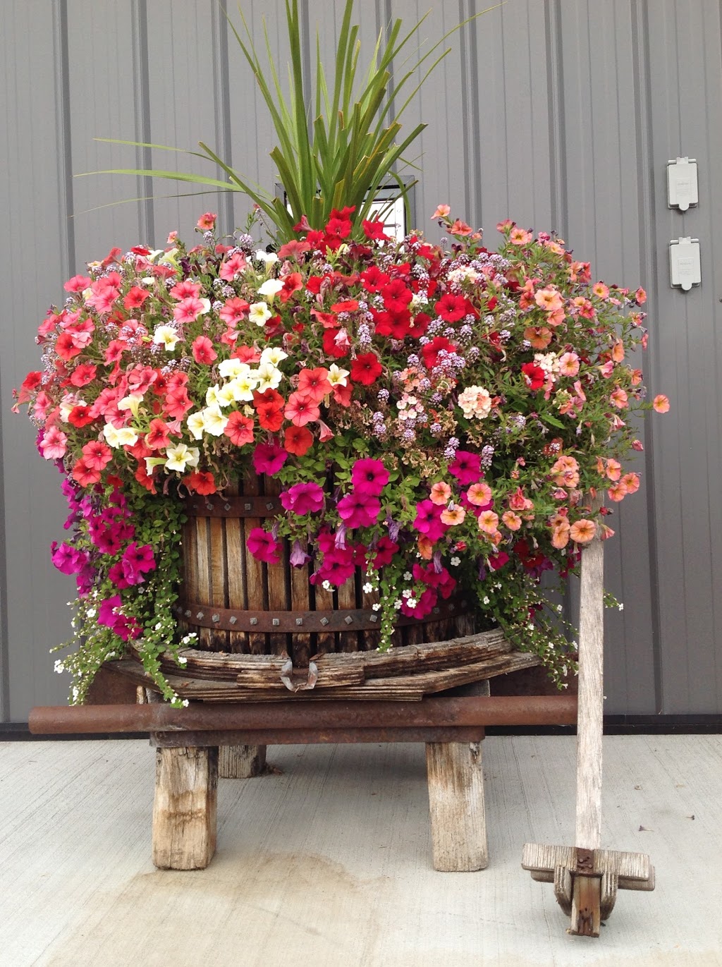 Lariana Cellars | 9304 2 Ave, Osoyoos, BC V0H 1V1, Canada | Phone: (250) 498-9259