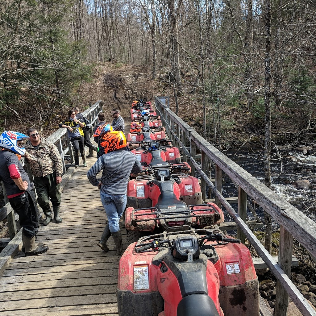 Back Country Tours | 2839 ON-60, Dwight, ON P0A 1H0, Canada