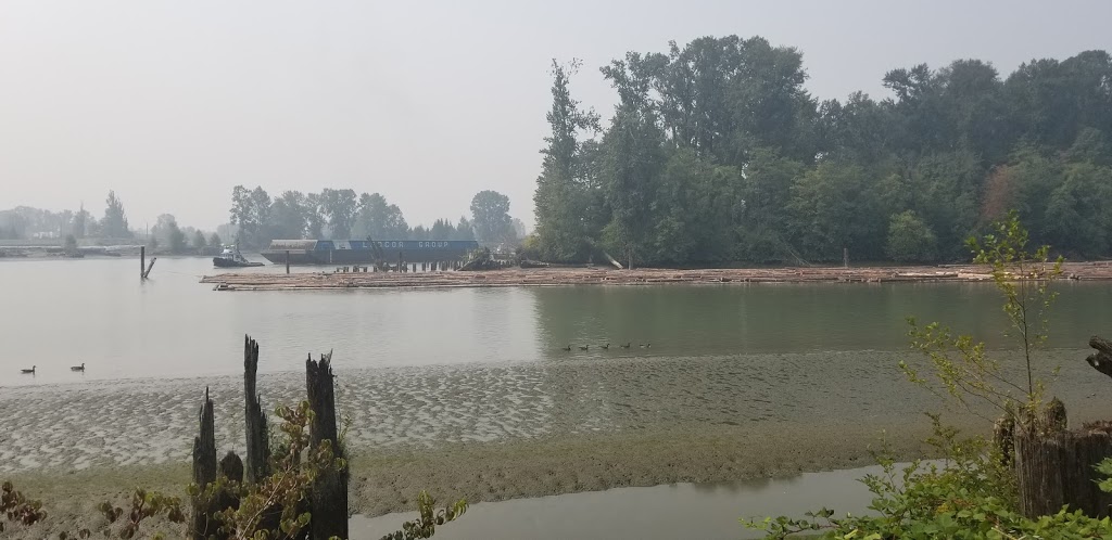 Quayside Dog Area | 6P2, 3 Rialto Ct, New Westminster, BC V3M 6P2, Canada