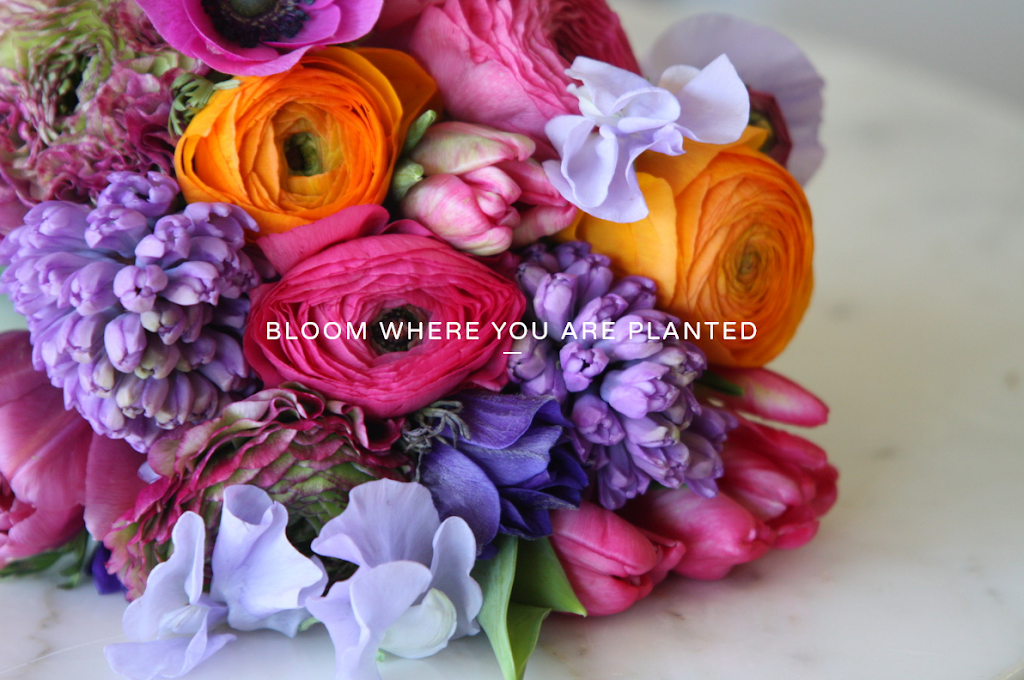 Black-Eyed Susans | 410 Adelaide St W Unit 106, Toronto, ON M5V 1S8, Canada | Phone: (416) 361-3500