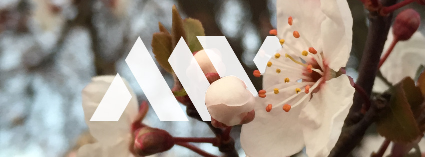 Mass Velocity Media | 227 Beechwood Ave, Victoria, BC V8S 3W6, Canada | Phone: (778) 587-7190
