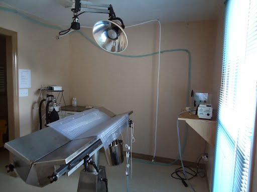 Binbrook Animal Hospital | 3087 Hamilton Regional Rd 56, Binbrook, ON L0R 1C0, Canada | Phone: (905) 692-2693
