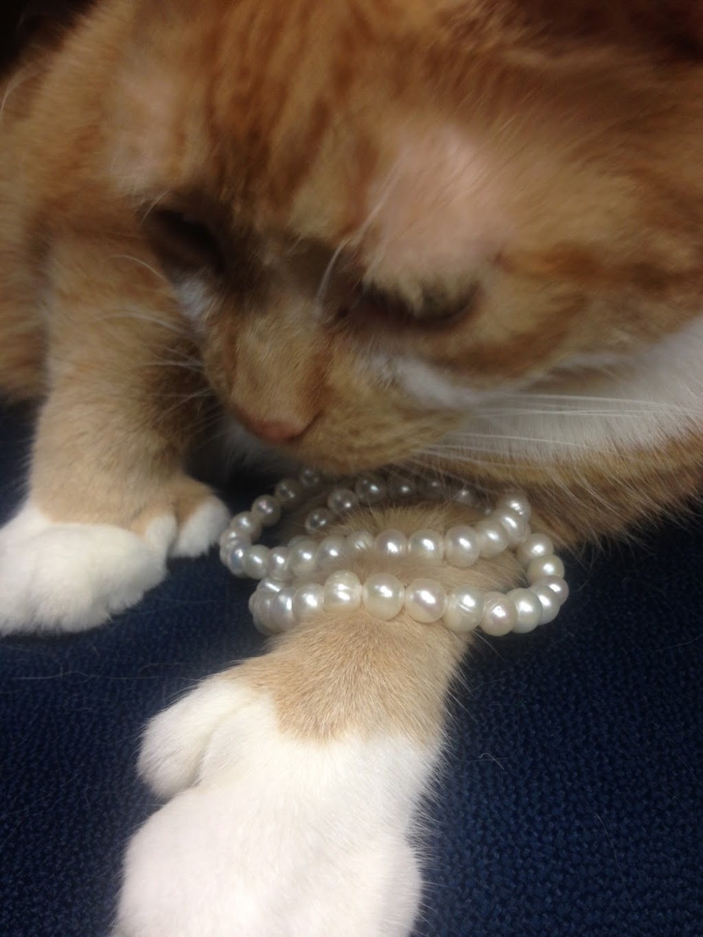 Westdale Jewellers | 2 Newton Ave, Hamilton, ON L8S 1V7, Canada | Phone: (905) 777-1101