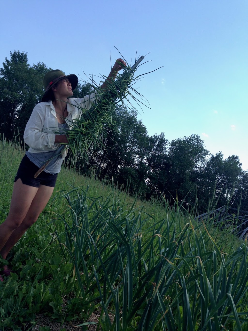 Les Jardins en Mouvement | 2766 Chemin Noiseux, Dunham, QC J0E 1M0, Canada | Phone: (514) 781-2244
