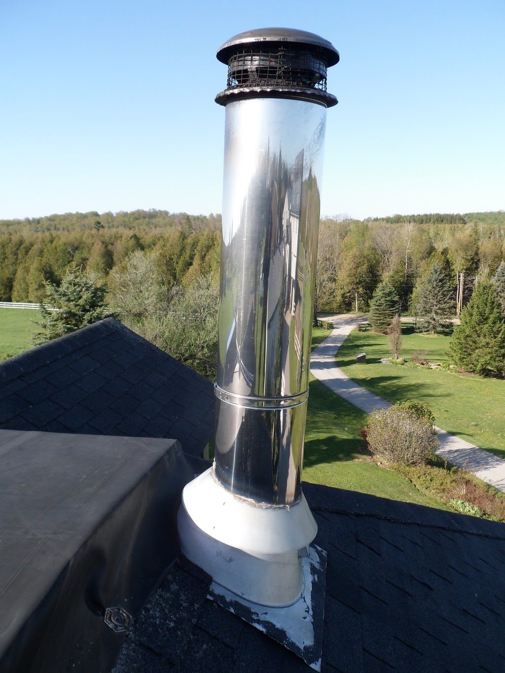 Chimney Swift The | 375 Eramosa Rd, Guelph, ON N1E 6V8, Canada | Phone: (519) 856-1025