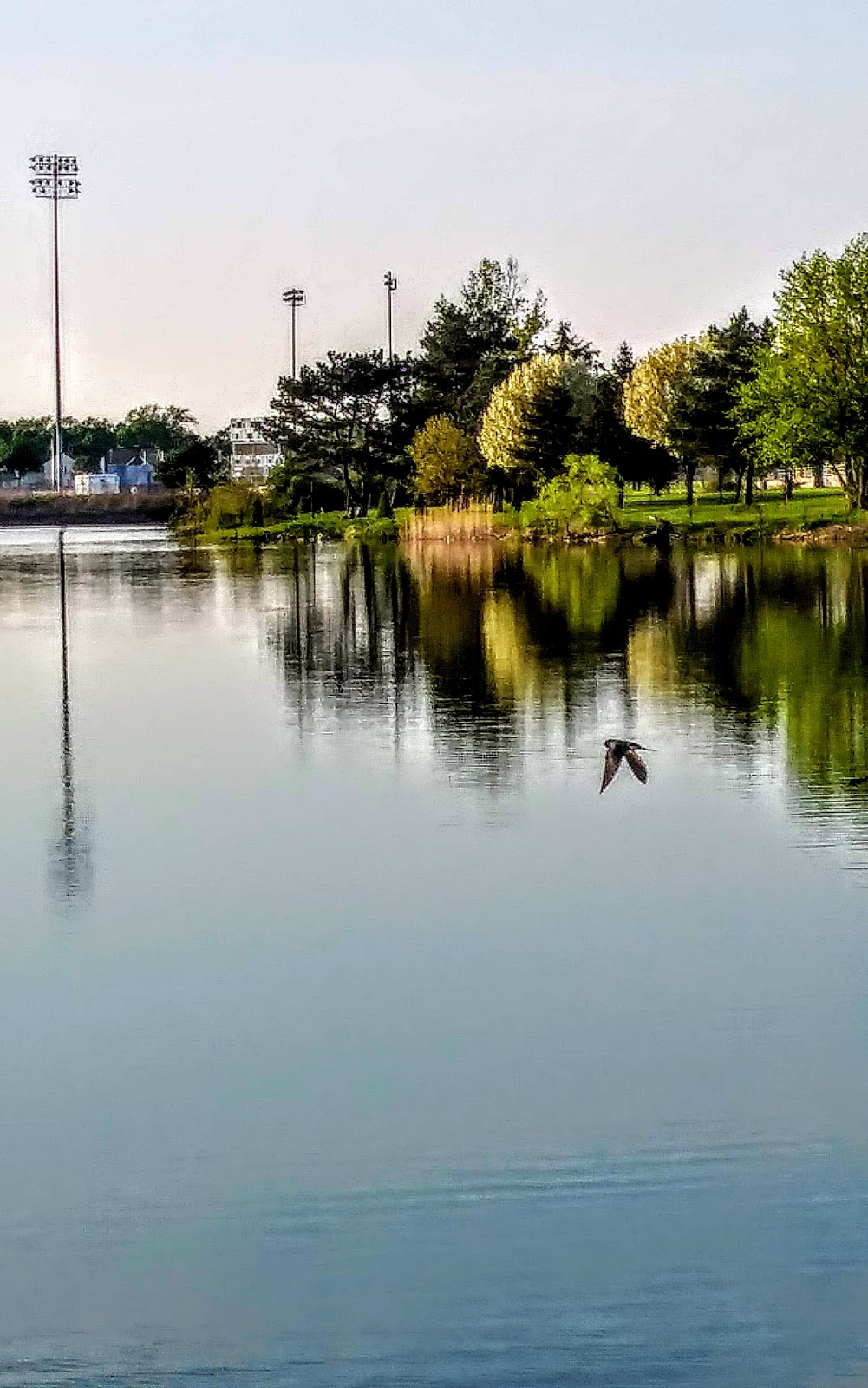 Hyde Park | 3200 Pine Ave, Niagara Falls, NY 14301, USA | Phone: (716) 286-4940