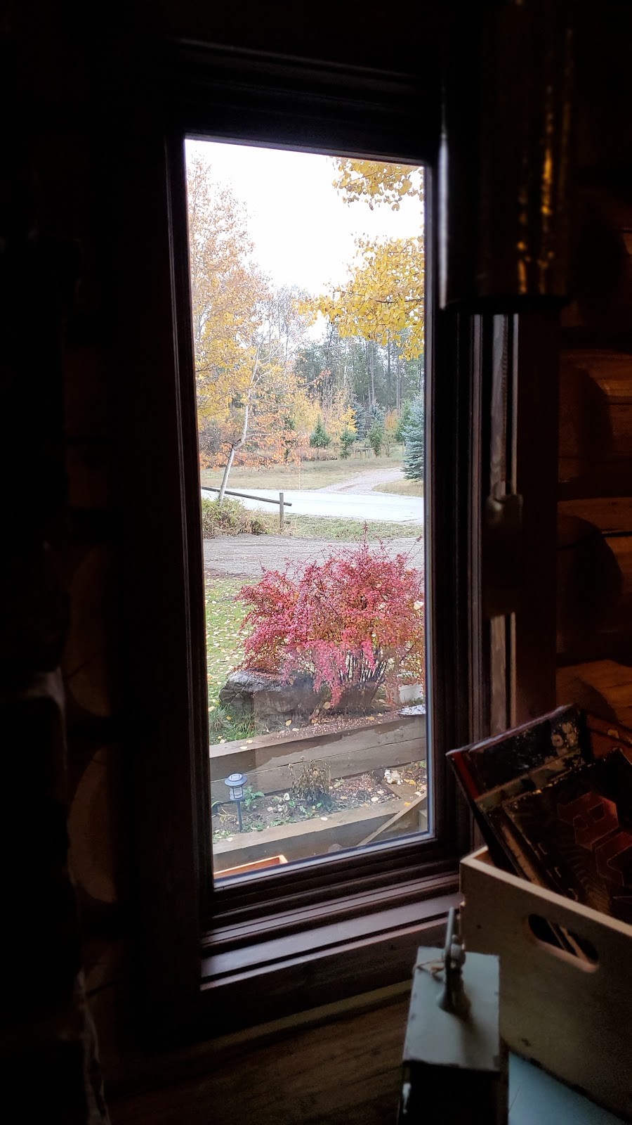First Perk Coffee & Collectibles | 1891 Aspen Dr, Jaffray, BC V0B 1T0, Canada | Phone: (250) 429-3062