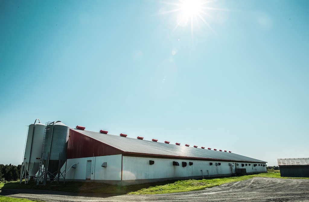Ferme GEC - Groupe GEC | 2313 Rue Principale, Saint-Frédéric, QC G0N 1P0, Canada | Phone: (418) 426-3306
