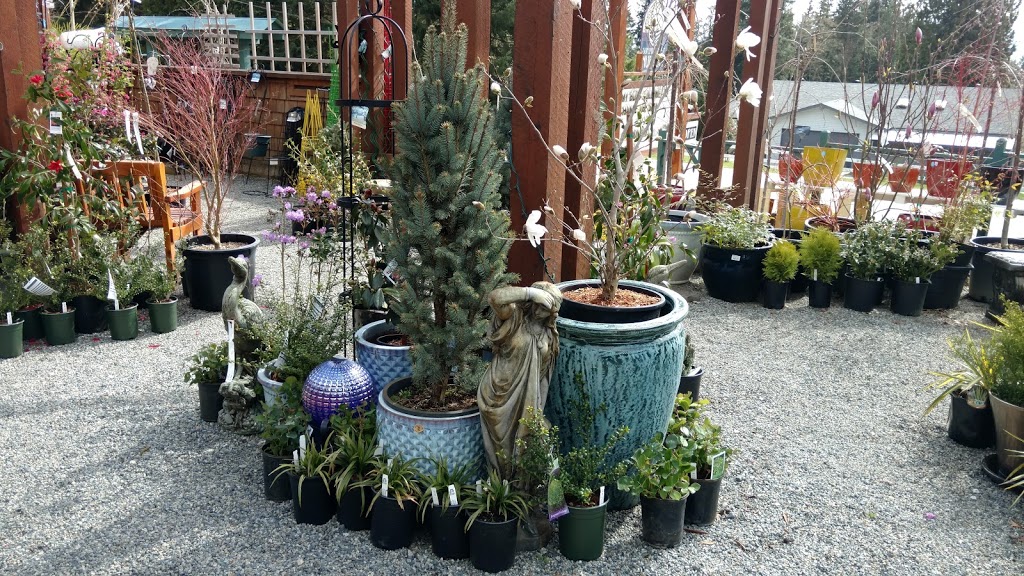 Sunshine Coast Nursery | 1826 Sunshine Coast Hwy, Roberts Creek, BC V0N 2W5, Canada | Phone: (604) 886-2796