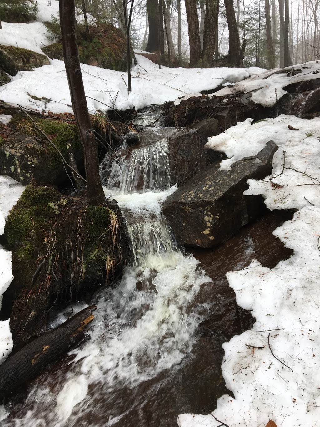 Parc de lÎle Melville, secteur sud | Shawinigan, QC G9P, Canada | Phone: (819) 536-0222