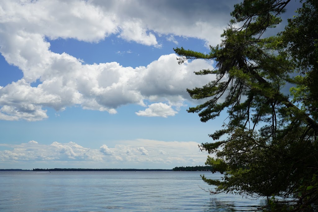 Balsam Lake Provincial Park | 2238 Kawartha Lakes County Rd 48, Kirkfield, ON K0M 2B0, Canada | Phone: (705) 454-3324