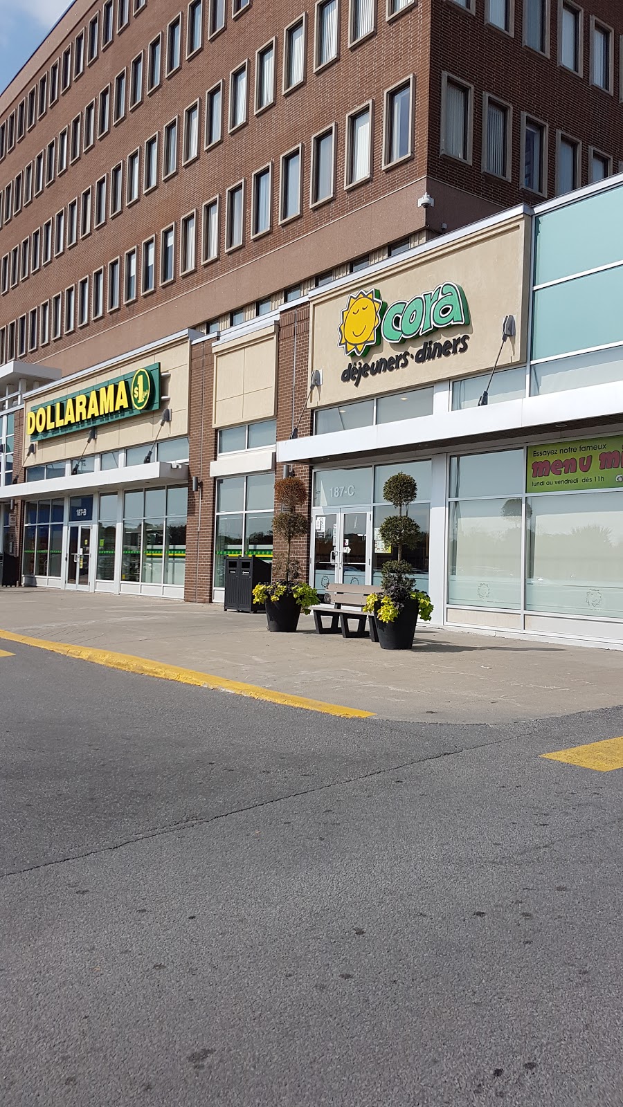 Dollarama | 187B Boul Hymus Centre Terrarium Centre Terrarium, Pointe-Claire, QC H9R 1E9, Canada | Phone: (514) 459-0167