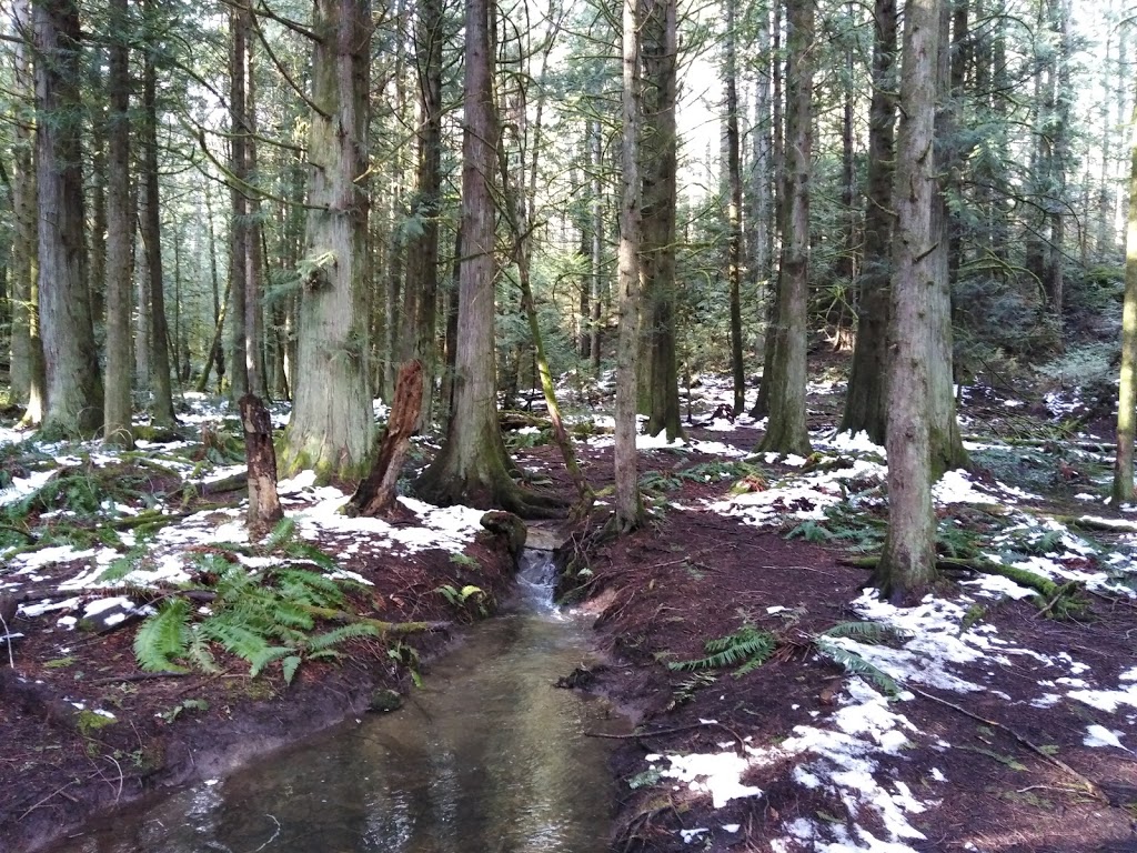 Thetis Lake Regional Park | View Royal, BC, Canada | Phone: (250) 360-3030