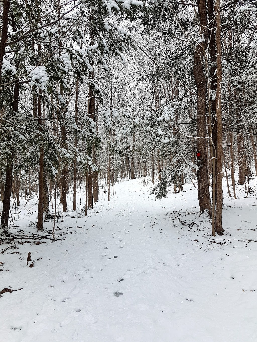 Camp de Grandpré (Anciennement Colonies Les Bosquets) | 756 Chemin des Patriotes Sud, Otterburn Park, QC J3H 1Z5, Canada | Phone: (514) 937-6171 ext. 228