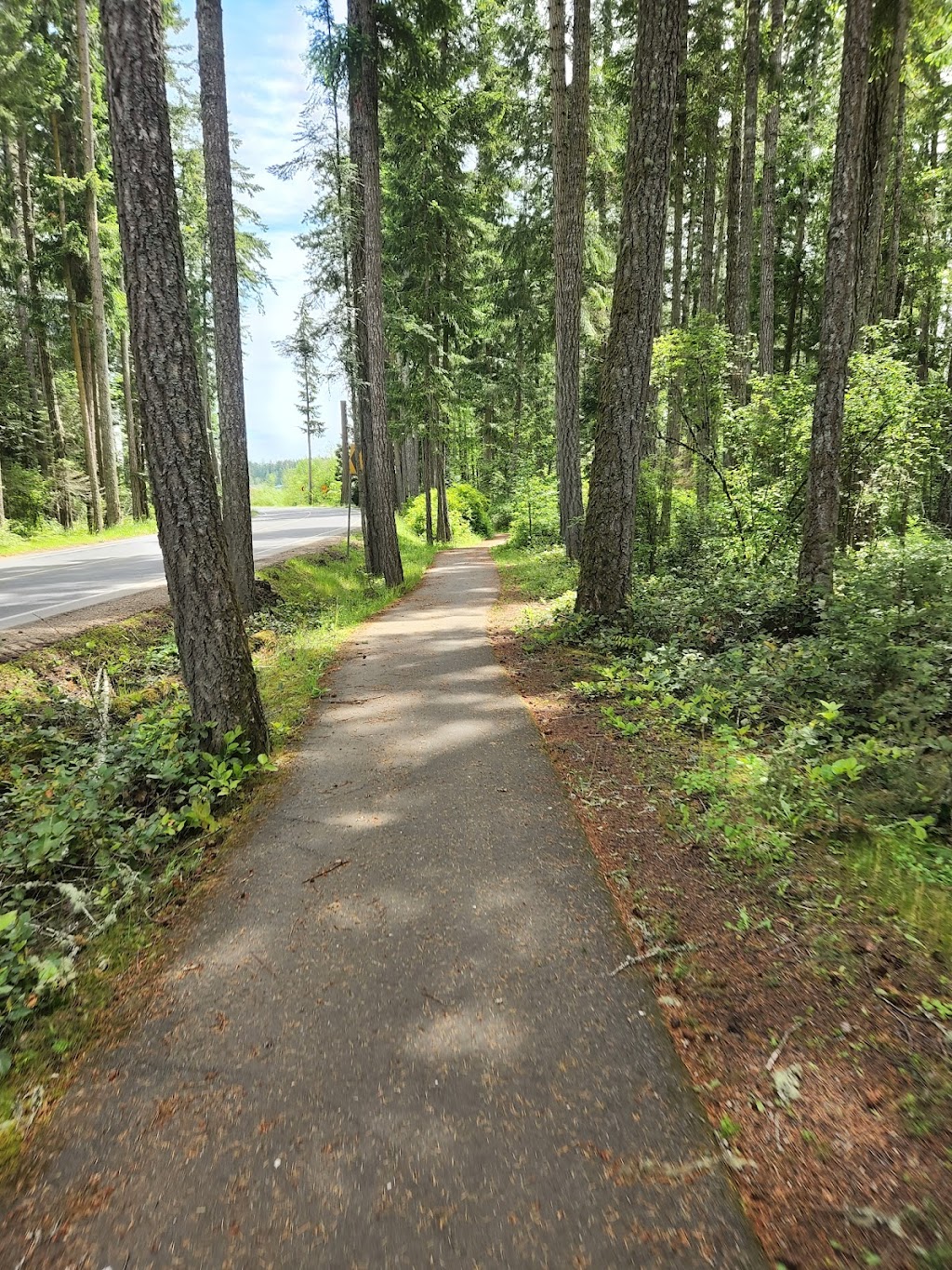 Maxs eBikes | 641 Memorial Ave, Qualicum Beach, BC V9K 1L8, Canada | Phone: (250) 752-9921