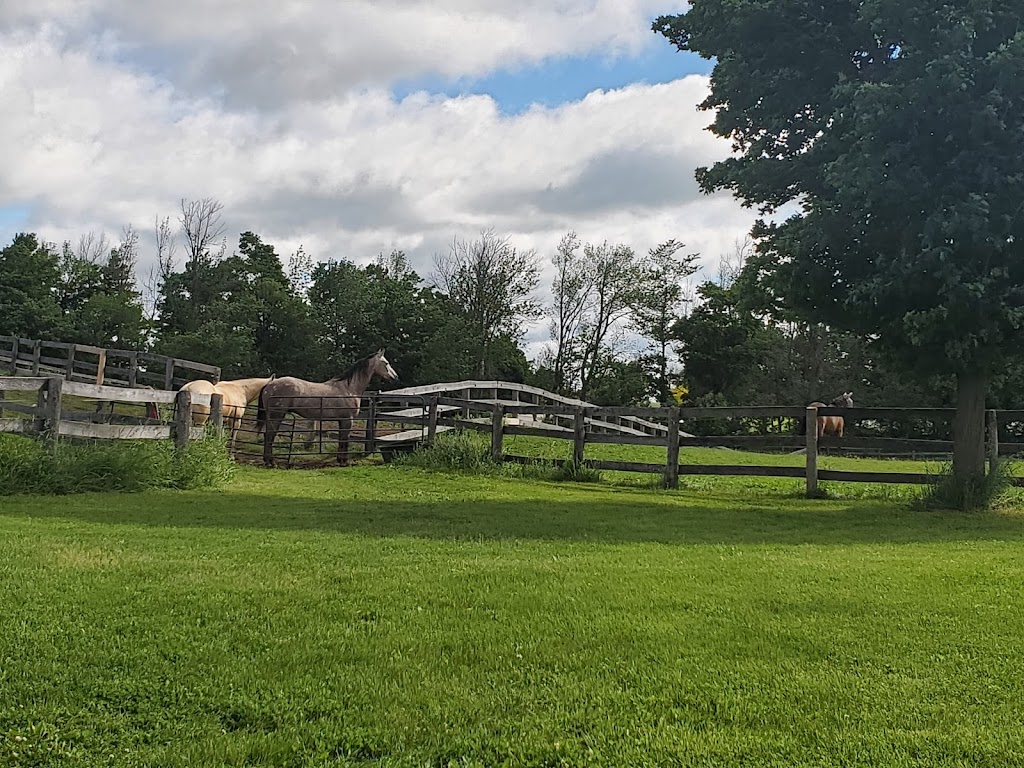 Grangewood | 16196 Creditview Rd, Terra Cotta, ON L7C 1Y8, Canada | Phone: (289) 354-3853