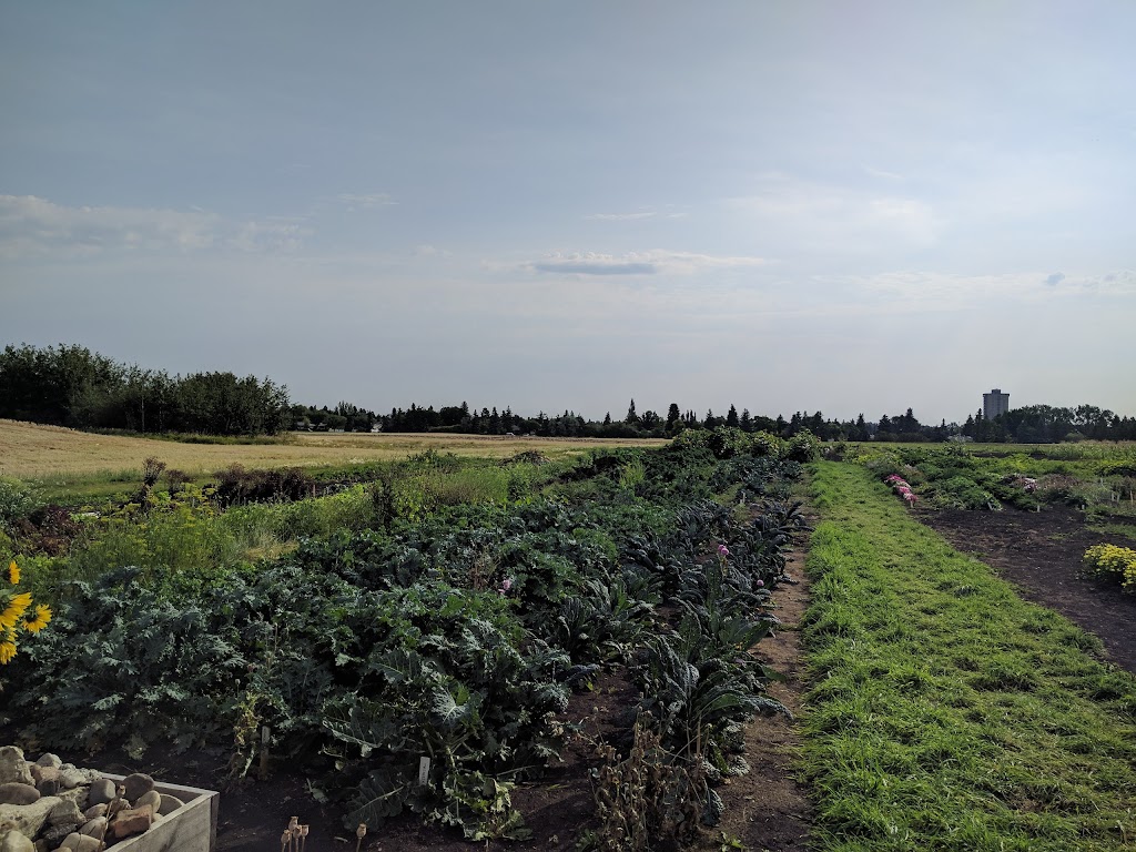 Green and Gold Community Garden | 118 St NW, Edmonton, AB T6H 2V8, Canada | Phone: (780) 492-4087