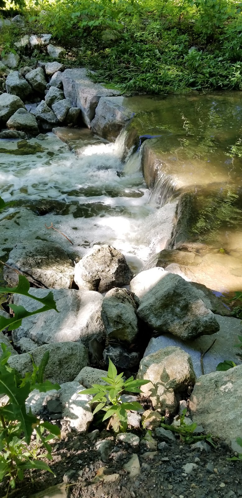 Sawmill Creek | 302 City Centre Dr, Mississauga, ON L5L 3A5, Canada