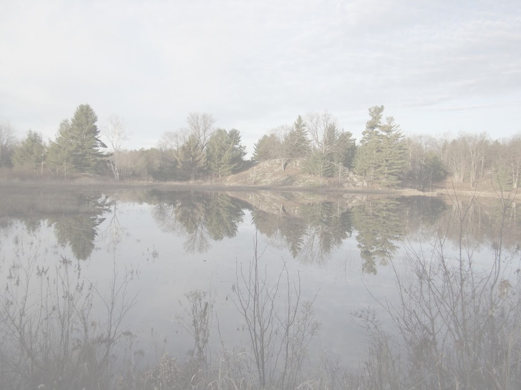 Oakridge Environmental Ltd | 647 Neal Dr Suite #3, Peterborough, ON K9J 6X7, Canada | Phone: (705) 745-1181